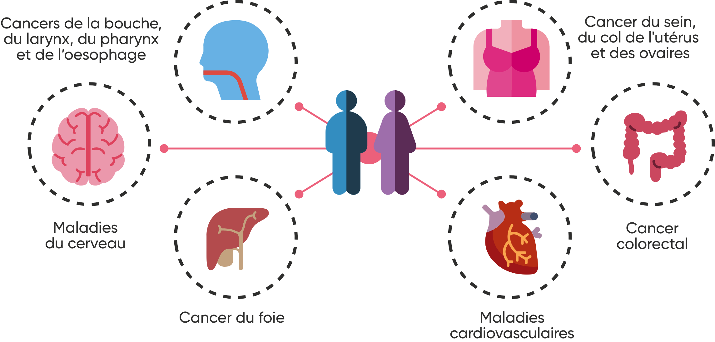 Image montrant la localisation des cancers favorisés par la consommation d'alcool : cancers de la bouche, du larynx, du pharynx et de l'oesophage, cancer du sein, du col de l'utérus et des ovaires, cancer colorectal, maladies cardiovasculaires, cancer du foie, maladies du cerveau